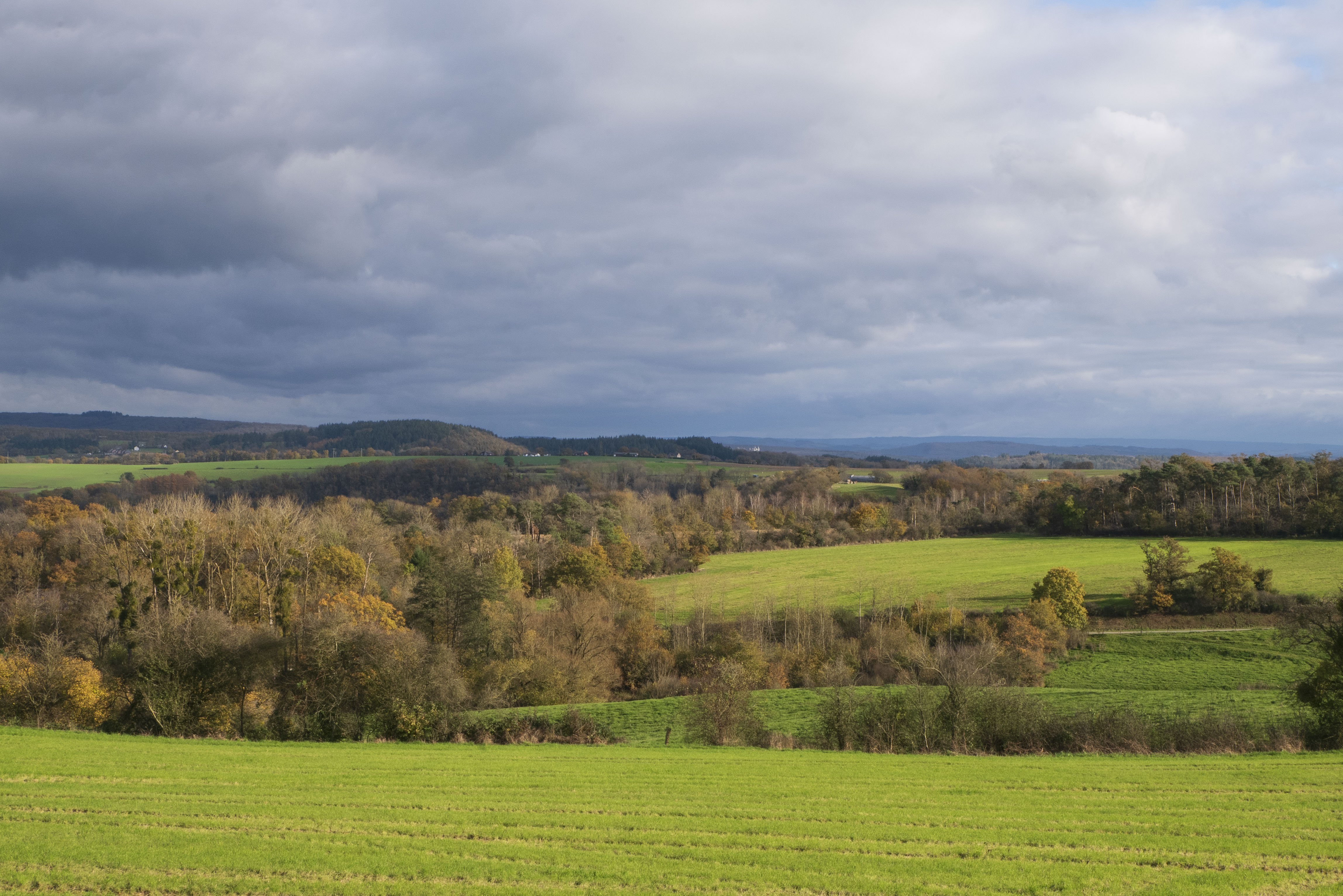AURIOL Pascaline - GESTe - Recherche et communication